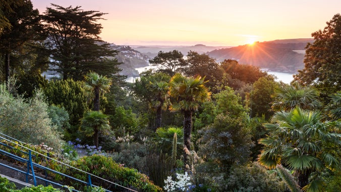 View over the garden towards the Salcombe Estuary at sunrise, Overbeck's Garden at Sharpitor, Devon